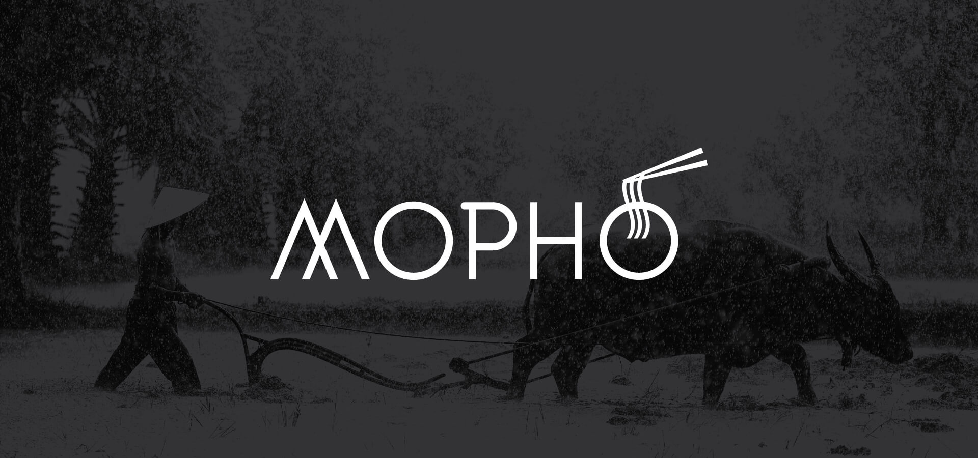 Mopho Logo and brand identity