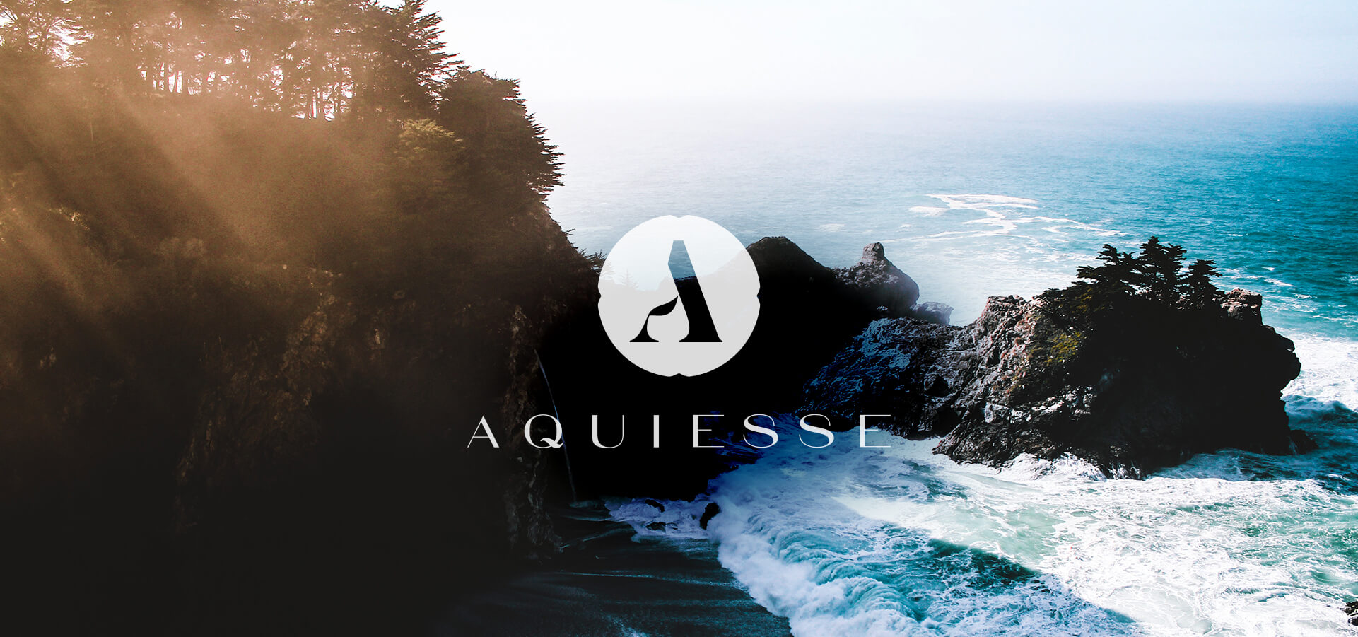 Aquiesse Logo and brand identity