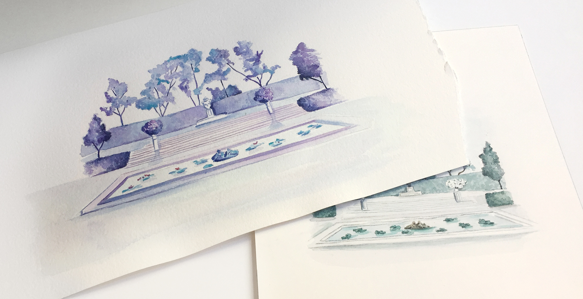 Watercolor paintings in lavender and green