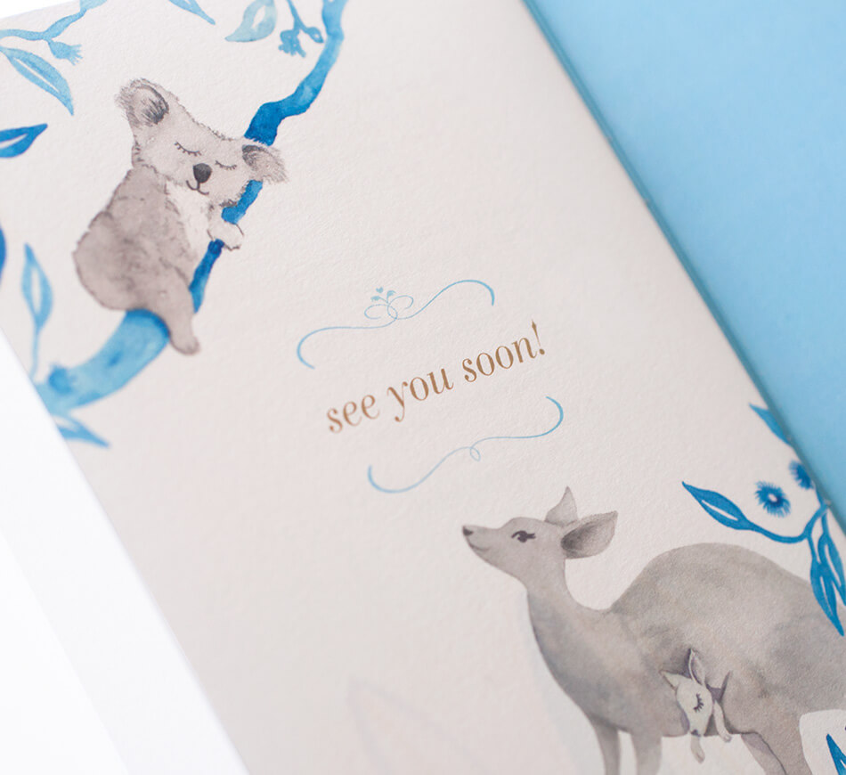 Kangaroo and koala bear illustrations