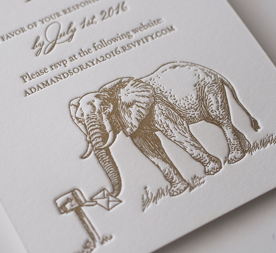 Elephant engraved illustration